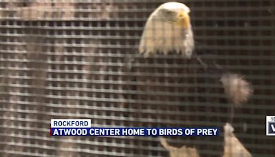 Atwood Center in Rockford educates community on birds of prey