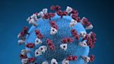 Global measles cases almost double in a year, say researchers