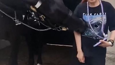 Video captures mounted horse biting tourist as she takes photo outside royal museum in London