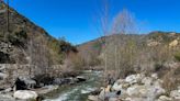 Siblings, 4 and 2 years old, die after being swept away by quick-moving California stream