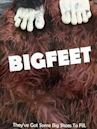 Bigfeet