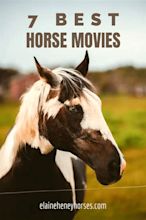 Top 7 must watch horse movies & documentaries - Listenology by Elaine Heney