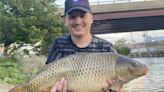 Finding meaning in fishing big carp in the Chicago River.