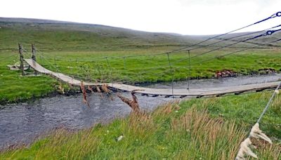 OUT AND ABOUT WITH RALPH: Scaraben hike serves up montane flowers, birdlife and even jumping salmon