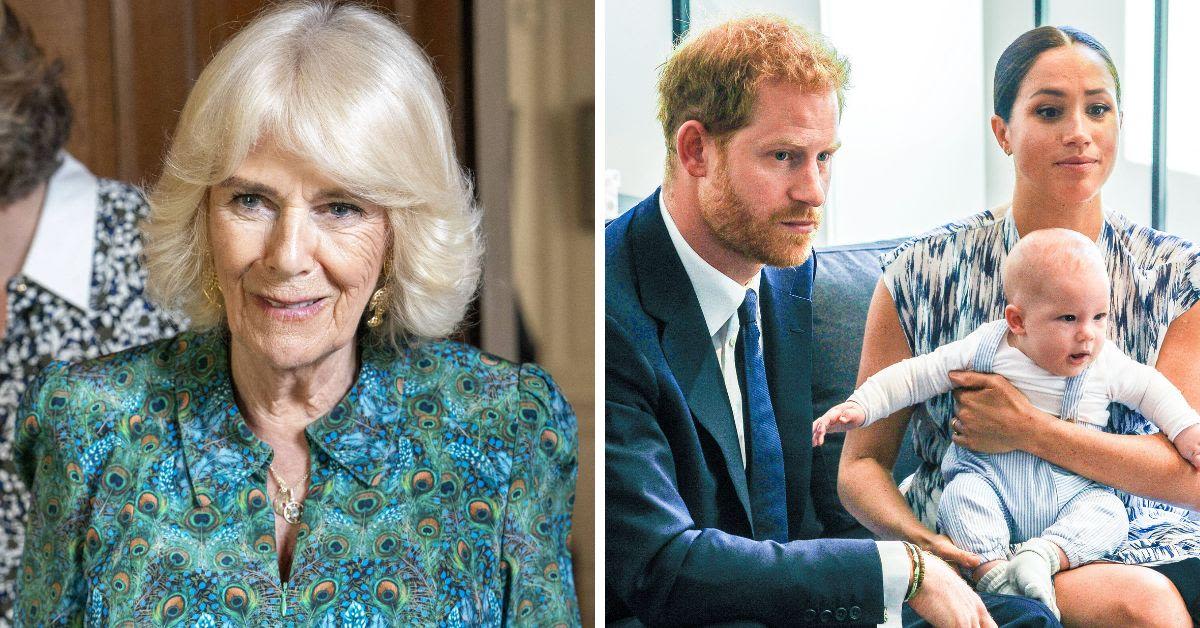 Prince Archie Birth 'Disaster': Newborn Royals' Debut to Now-Queen Camilla Was Just an Image Pulled Up on Photographer's Phone