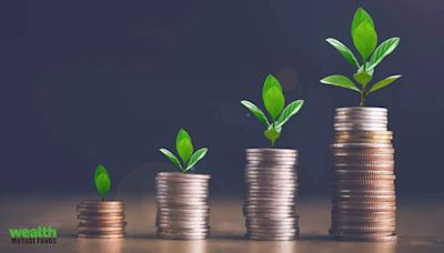 Best focused mutual funds to invest in July 2024