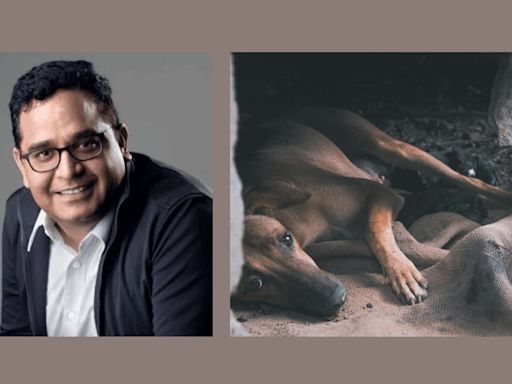 Paytm founder Vijay Sekhar Sharma wants to fund vending machine for stray dogs, sparks chatter