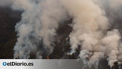 Tenerife custodia el monte con miedo a la sequía: la labor más allá de la emergencia