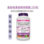 現貨 Costco好市多 webber cranberry 高單位蔓越莓濃縮精華膠囊 蔓越莓錠 250粒