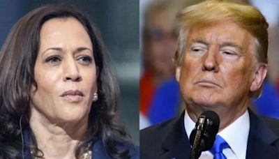 Harris Vs. Trump: Swing State Voters Pick Presidential Debate Winner, Share Thoughts On Immigration, Abortion, Economy