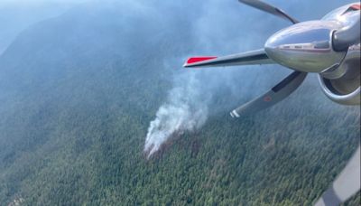 Wildfire in Seymour Arm under control, while Sicamous blazes continue to burn