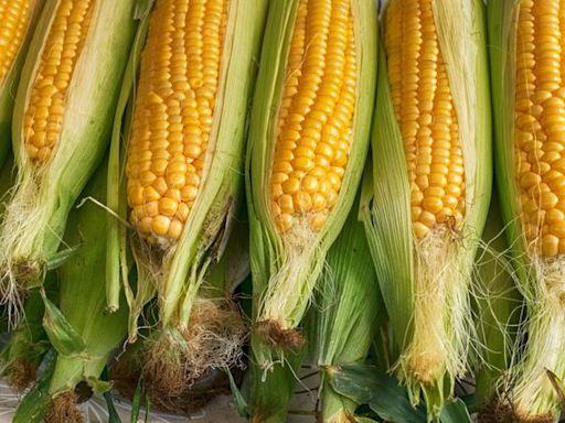 How To Choose the Best Corn Every Single Time, According to Two Corn Farmers