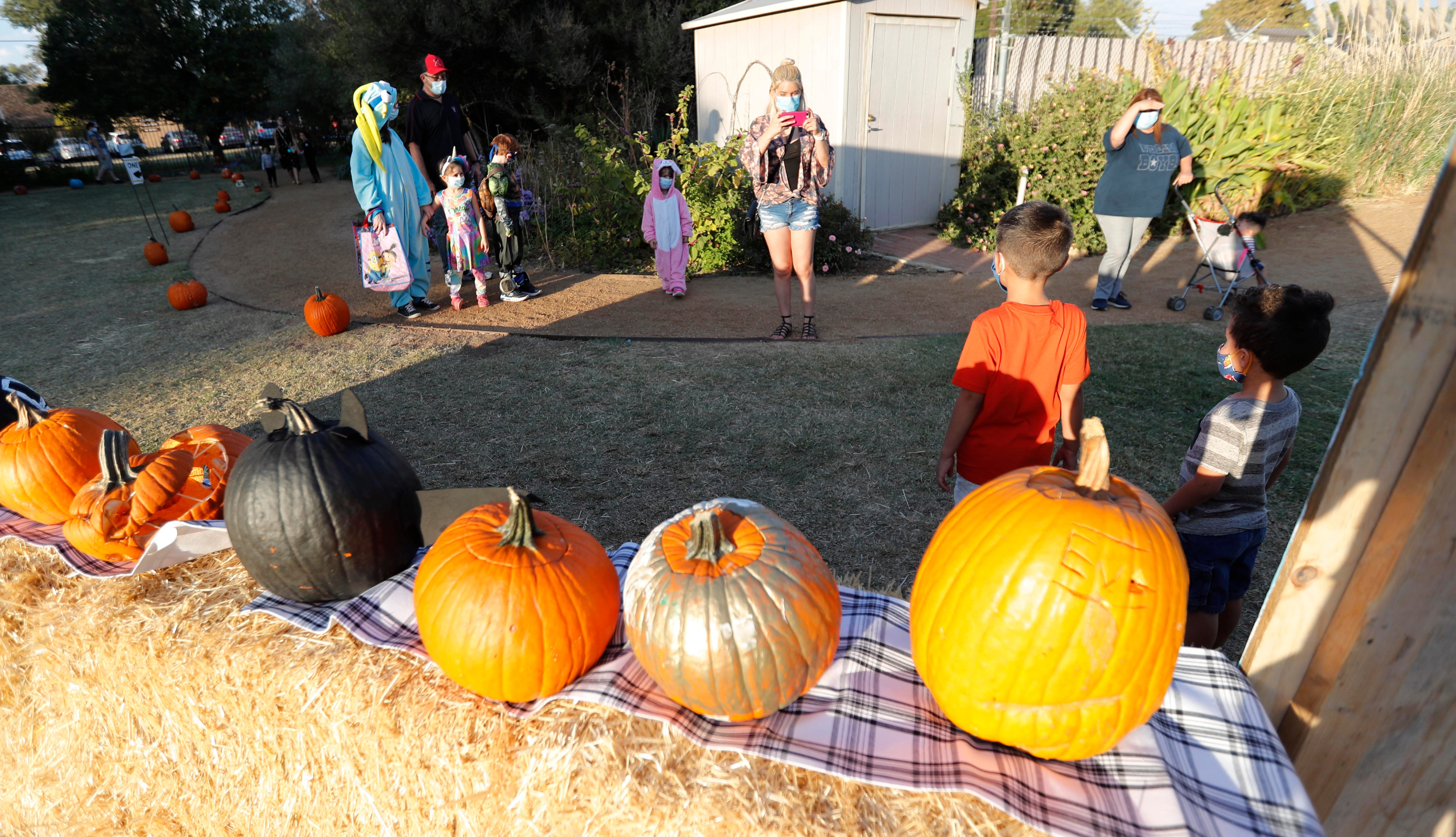 Check out these Lubbock-area fall events featuring pumpkins, spooky trails and more