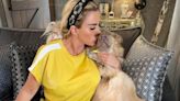 Petition to stop Katie Price owning pets soars to 36k signatures