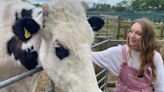 TikTok says cuddling cows is 'therapeutic' but my experience certainly wasn't