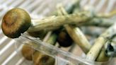 City of London police officer quits after calling 999 while high on magic mushrooms