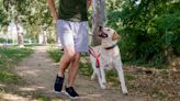 Trainer shares secret to stress-free walks with your dog, and it all comes down to how you position them