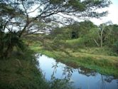 Amanzimtoti River