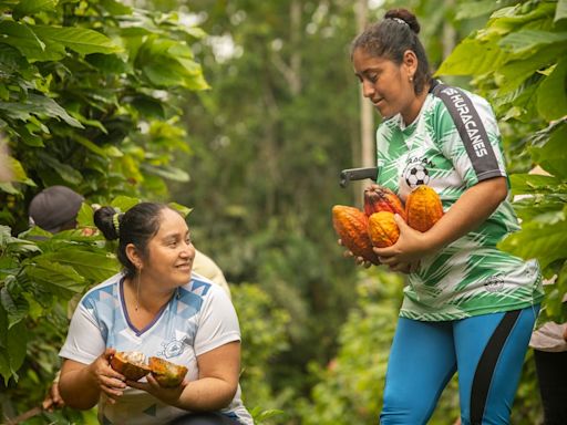 Ecuador es pionero en producción libre de deforestación: con estas características sus primeros envíos de café y cacao llegan a Italia y Bélgica