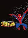 Spectacular Spider-Man