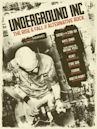 Underground Inc: The Rise & Fall of Alternative Rock