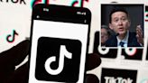 TikTok sues US government to block law seeking sale or ban of app