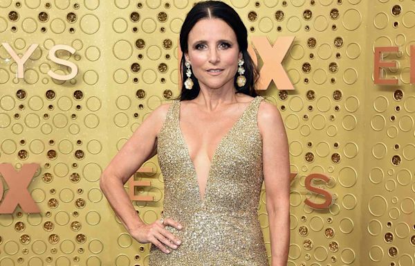 Julia Louis-Dreyfus Recalls Having to Remind Herself Being a Working Mom Was 'Good' for Her Sons to 'Witness'