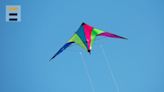 Blossom Kite Festival at Washington Monument