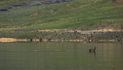 Summer is here. How full is every major Utah reservoir to start the season?