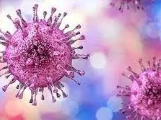 Pakistan: New case of Congo virus reported in Quetta - Times of India