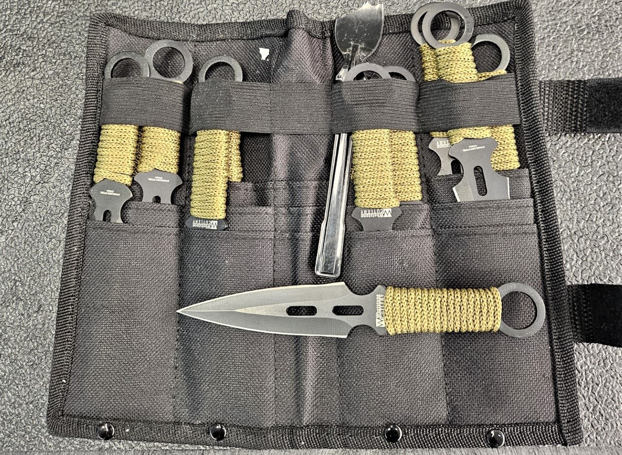 Boston Logan Airport passenger attempted to bring 10 throwing knives in carry-on