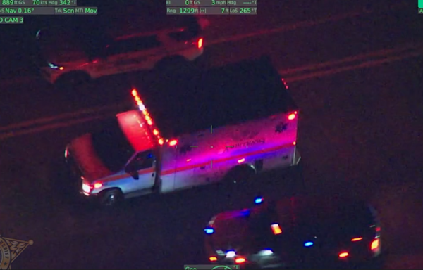 Florida woman leads deputies on chase in stolen ambulance: LCSO