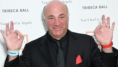 'Shark Tank' star Kevin O'Leary says get married sooner, have more kids — and forget about the costs