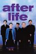 After Life (film)