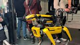 Digidog: así es el perro robot policía que perseguirá el crimen y el delito en Nueva York