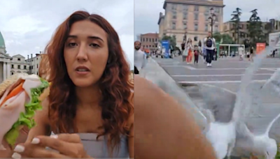 Watch | Seagulls Ambush Woman Eating Sandwich In Viral Live Stream Video