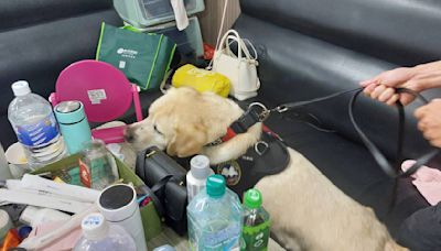 桃警 「雷霆除暴專案」成果豐 新北緝毒犬特地來加班