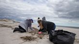 Who left a dinosaur on the beach? What Jersey Shore Beach Sweeps volunteers found.