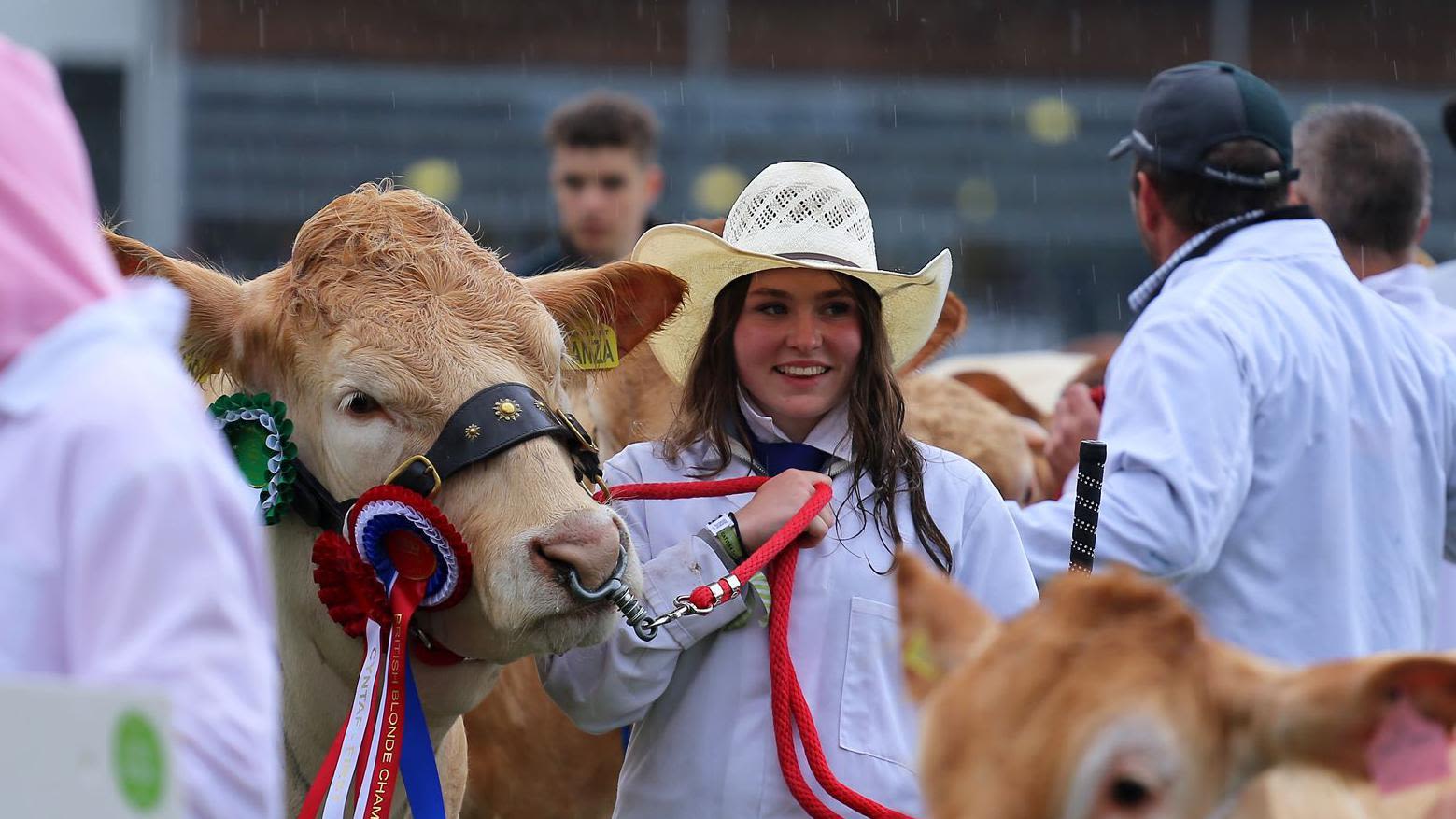 Thousands gather for 120th Royal Welsh Show