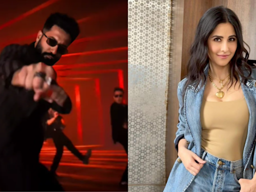 Vicky Kaushal REVEALS Katrina Kaif's reaction to his dance moves in 'Tauba Tauba' | Hindi Movie News - Times of India