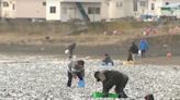 1,200 tons of fish washed up on a Japanese beach and nobody knows why