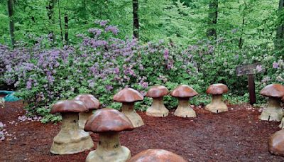 Mushroom country: Skip the main city centre and discover Philadelphia’s countryside, where the fungi reigns