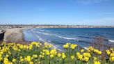 This East Coast City Is Covered With More Than 1 Million Daffodils Every Spring — Here's When to See Them in Bloom