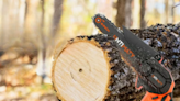 'Sharper than the DeWalt ': This six-inch, one-handed chain saw is just $39 — that's 50% off