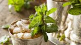 Celebrate the Kentucky Derby With the Ultimate Mint Julep Recipe