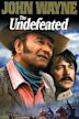 The Undefeated (1969 film)