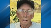 Stallion Springs PD looking for missing at-risk elderly man