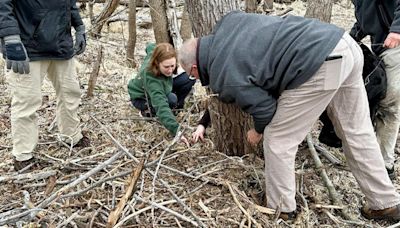 Bald eaglets die after falling from Hastings nest, despite heroic effort from neighbors