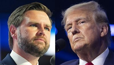 'Awfully weird': Trump 'absolutely' regretting picking JD Vance