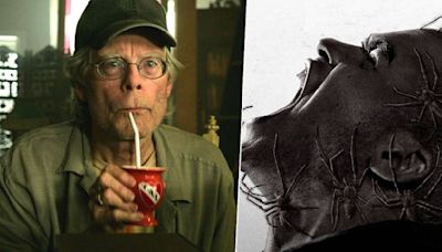 Stephen King hypes up new spider horror movie with great Rotten Tomatoes score